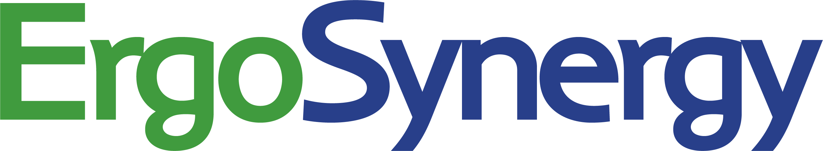 ErgoSynergy Group