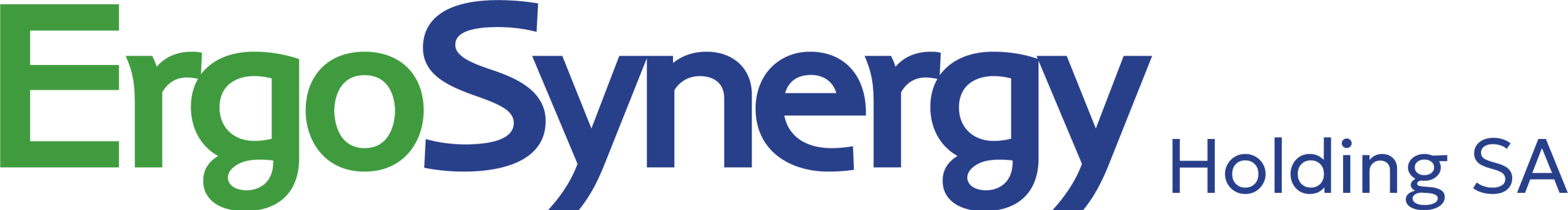 ErgoSynergy Group